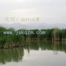 ḻ