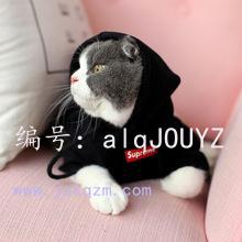 ǻ