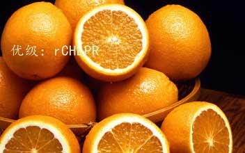 ģ