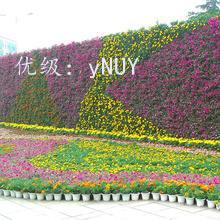 ĺ֮