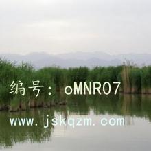 ḻ